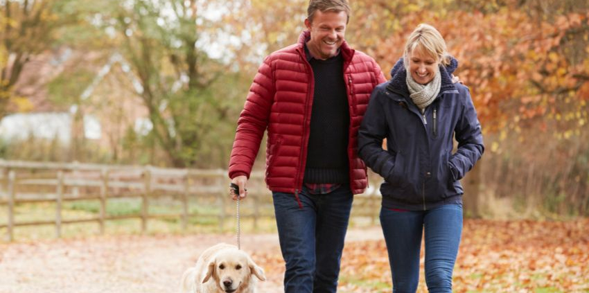 Midlife Wellness Check